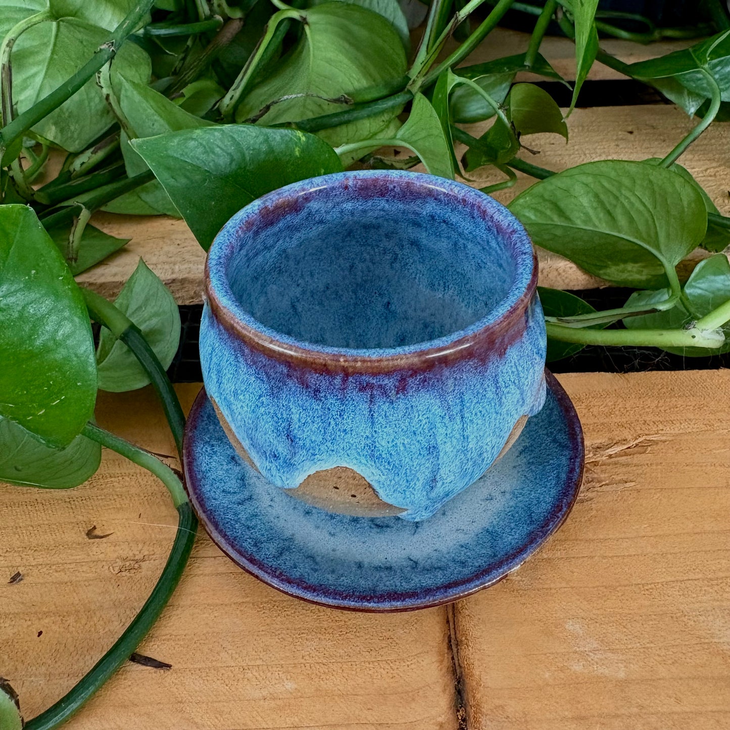 #305 Hyacinth Espresso Set