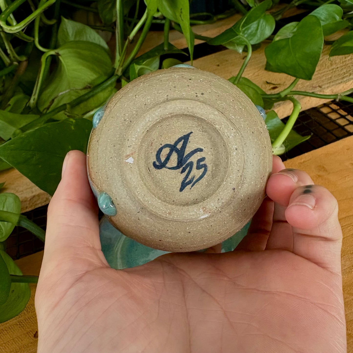 #308 Prairie Phlox Espresso Set