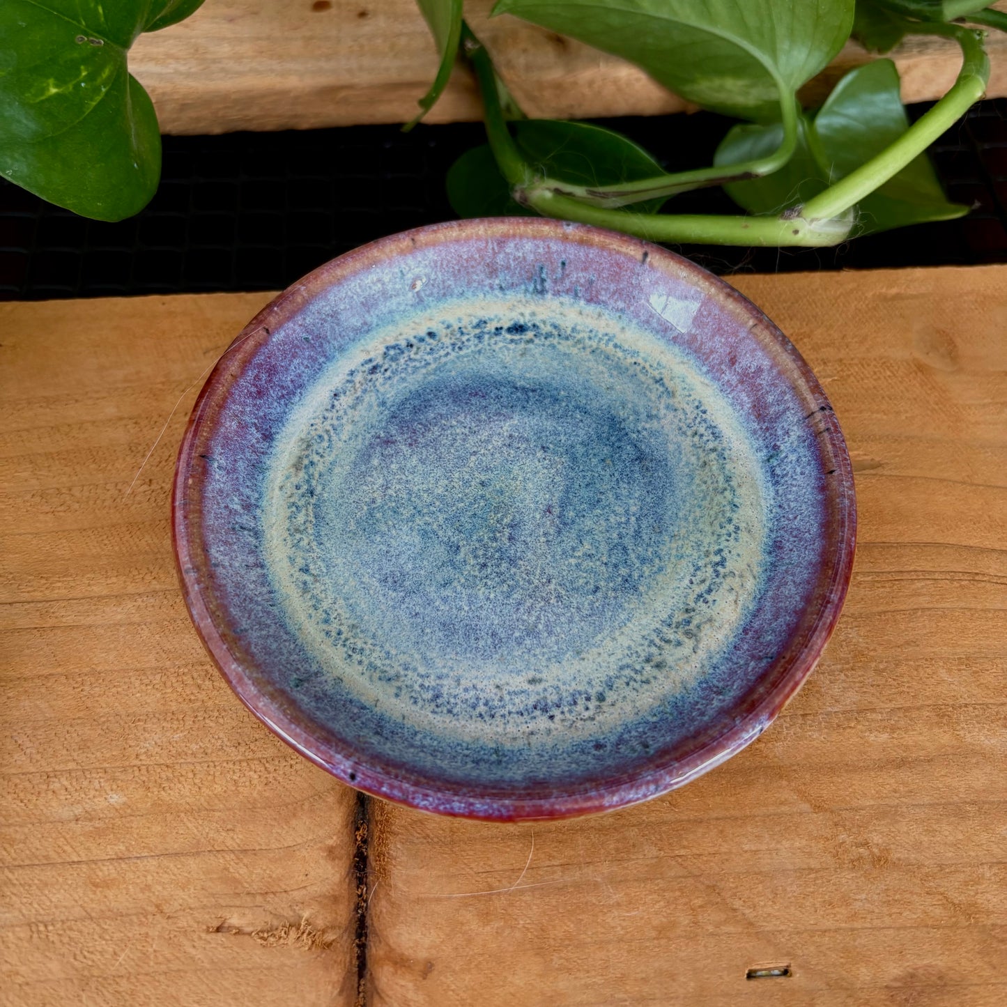 #302 Primrose Espresso Set