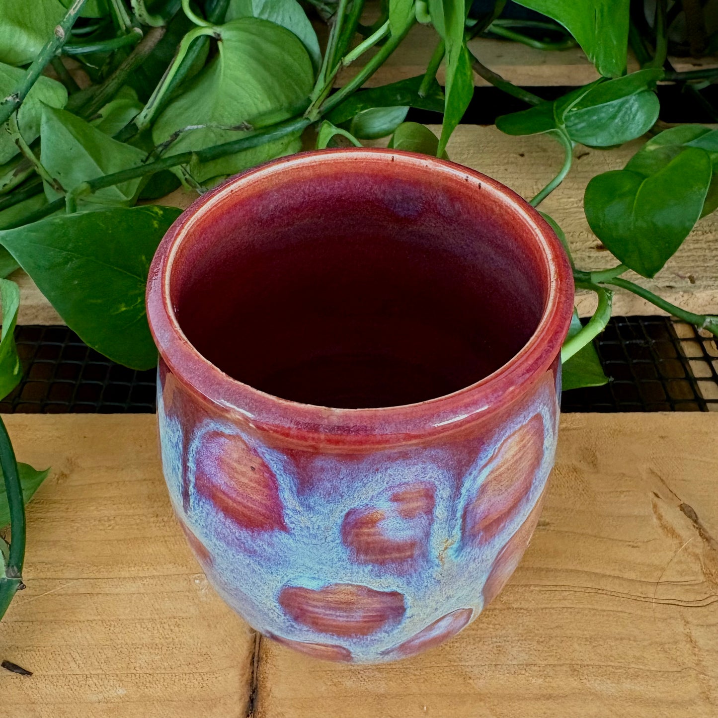 #324 Sugar Thistle Tumbler