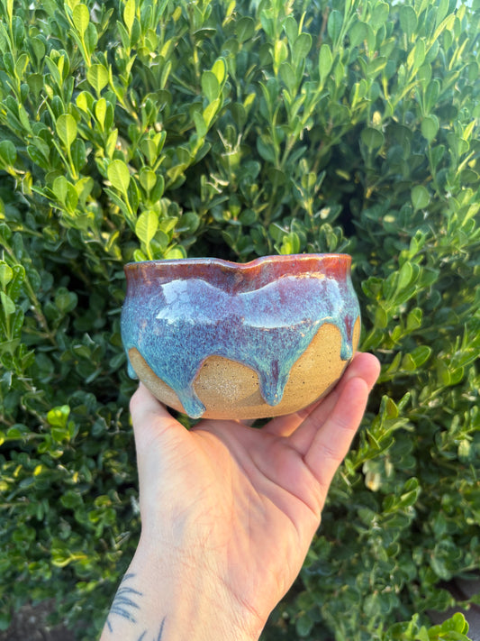 Prairie Phlox Matcha Bowl #290